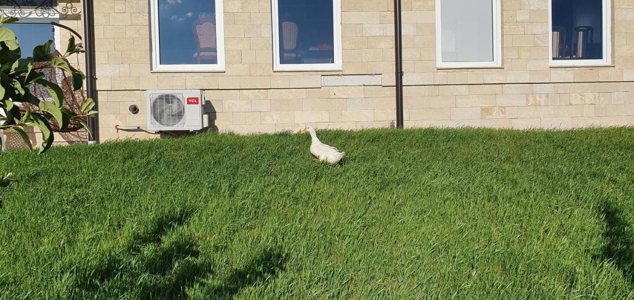 Apartmani Bojeresku Νεγκοτίν Εξωτερικό φωτογραφία